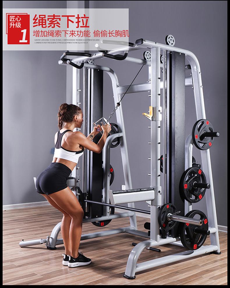 新款史密斯机790