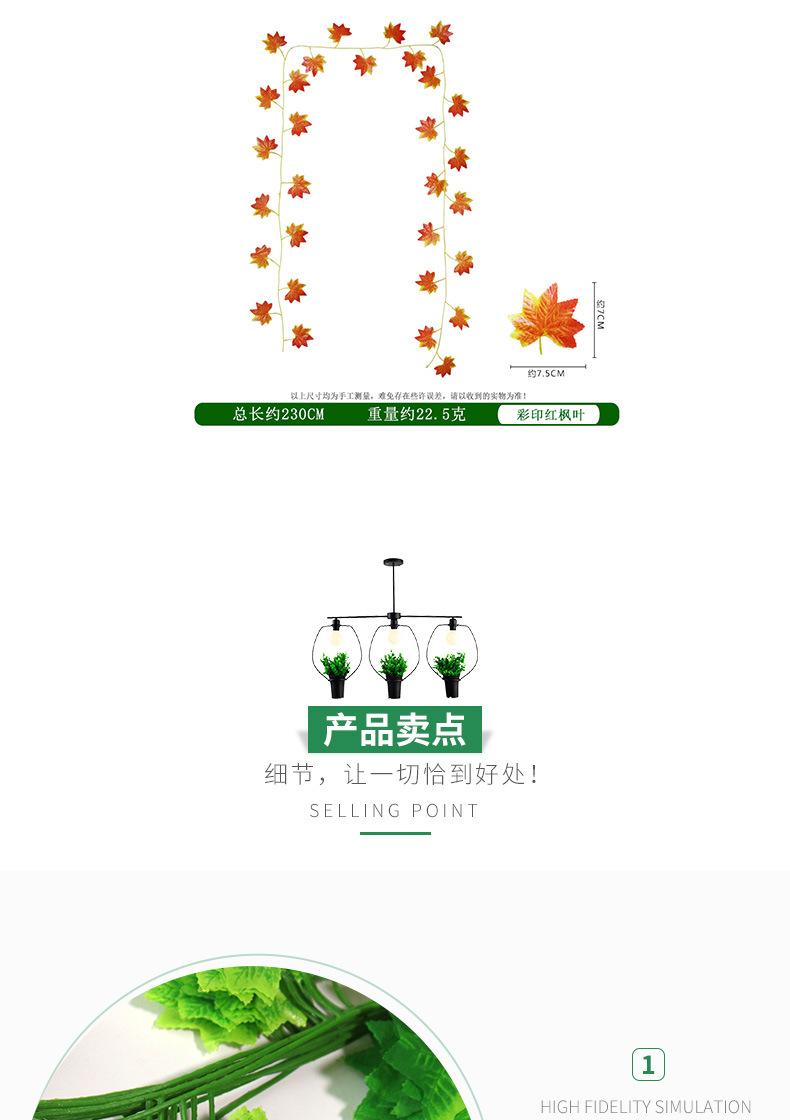 混合仿真枫叶_06.jpg