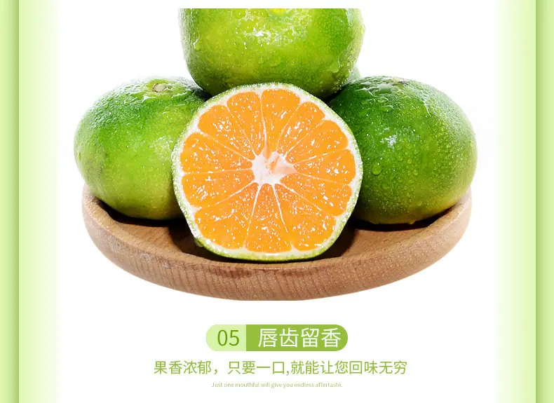 湖北宜昌蜜桔详情图4