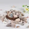 Al por mayor En stock Tianzhu Huang (Madera de Agar Amarilla) Tianzhu Huang Natural Artificial Tianzhu Huang Tianzhu Huang Medicina Herbal China Integral Tienda Única