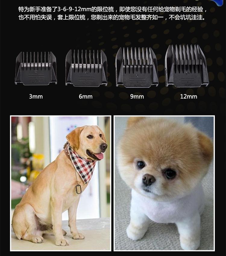 A60宠物-USB款750_08