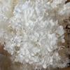 Anna Hydrangea Hydrangea Hydrangea Flor eterna flutuante Flor seca Decoração para casa Fábrica de Yunnan Atacado Frete grátis