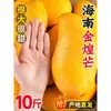 Manga Hainan Jinhuang 5kg Fruta Tropical Fresca Manga Narciso Sazonal Manga Namoradinha Especial Caixa Fechada Frete Grátis