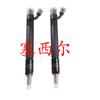 Inyector de Combustible para Maquinaria Pesada de Fábrica Original Motor Weifu Boquilla 5298069
