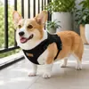 Nuevo Arnés para Mascotas, Arnés con Correa para Perros, Antishock, Transpirable, No Estrangula el Cuello, Suave y Cómodo, Suministros para Mascotas