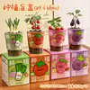 Caixa Surpresa de Planta em Vaso para Jardim de Infância Sementes de Flores de Plantas Infantis Decorações de Plantas Verdes para Desktop Pequenos Presentes Criativos Venda por Atacado