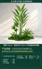 Plantas Verdes Simuladas, Paisajismo Interior a Gran Escala, Combinaciones de Paisajismo Exterior, Decoraciones de Exhibición para Ventanas de Lujo Ligero de Alta Gama, Plantas Artificiales en Maceta de Pie