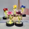 Flor Eterna capa acrílica rosa de flanela 520 Dia das Mães Tanabata Dia dos Namorados presente decoração criativa transfronteiriço