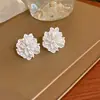 Brincos Assimétricos de Pérola Fresca com Design de Fogos de Artifício Minimalistas Simples Leve Luxo Brincos de Tarraxa de Ponta com Design Único Atacado