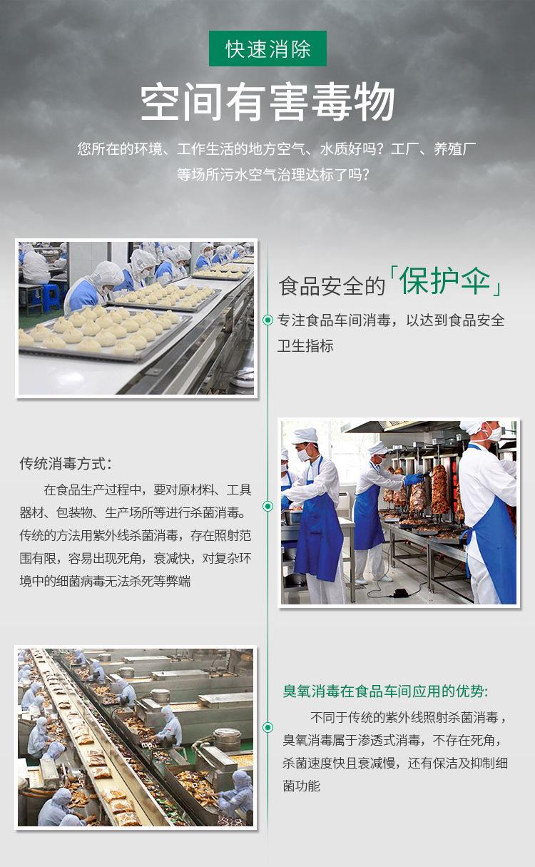 陶瓷片臭氧发生器