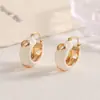 Pendientes de Color Morandi de Gama Alta Personalidad Simple Versátiles Joyería para Orejas Estilo Dulce Fresco Aretes de Presión Moda Temperamento Pendientes Romanos
