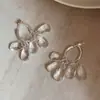 Brincos Exquisitos de Franja Gota d'Água Transparentes, Cristalinos e Brilhantes, Delicados e Versáteis, Brincos Emagrecedores, Novos Acessórios de Orelha Estilo 2026