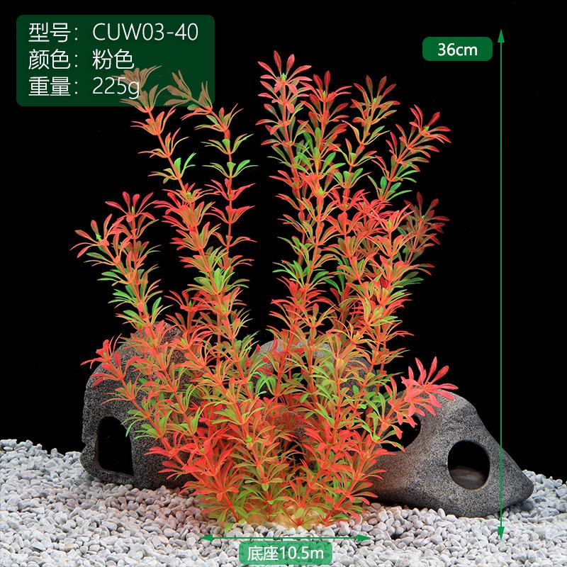 CUW03-40粉丝.jpg