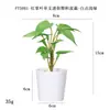 Más de 100 Tipos de Flores Artificiales y Plantas Verdes, Combinaciones de Plantas Artificiales en Maceta de Plástico, Flores Artificiales de Venta Caliente Transfronteriza, Mini Bonsáis Artificiales, Fuentes de Suministro
