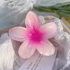Presilhas de Cabelo Coloridas de Frangipani Europeias e Americanas Transfronteiriças, Novos Acessórios de Cabelo de Pétalas de Alta Qualidade para Mulheres, Atacado Feito à Mão