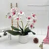 Bonsái Phalaenopsis de Doble Lóbulo Flor 9 Rosquilla Decoración Fotografía de Boda Maceta Arreglo de Patio Exterior Maceta de Flores Artificiales