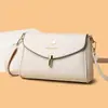 Bolso de Mano de Moda Transfronterizo, Bolso de Hombro Elegante para Mamás, Bolso de Mano de Alta Gama y Práctico para Viajes Diarios para Señoras de Mediana Edad