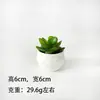 Venta Caliente Transfronteriza Suculentas Falsas Mini Maceta de Plástico Combinación de Plantas Suculentas Simuladas Plantas Suculentas Adornos Pequeños para el Hogar