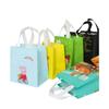 Bolsas para llevar de tela no tejida al por mayor Biodegradables Recubiertas Aislamiento térmico Papel de aluminio Bolsa de catering Bolsas para llevar con logotipos personalizados