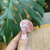 Novo Acrílico Mini Broca de Ponta Série Marinha Acessórios de Cabelo Golfinho Senso Avançado Presilha de Cabelo Fofa y2k Dopamina