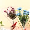 Papel de Embrulho para Flores Transparente Espesso Saco para Flores Dia dos Namorados Rosa Multiramos Conjunto de Sacos Embalados Venda Quente Transfronteiriça Buquê