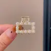 Pinza para el Cabello Pequeña Estilo Princesa Otoño/Invierno para Mujer Pinza de Garra de Gama Alta para Medio Recogido Nuevo 2026 Oreja de Elfo Adelgazante Facial