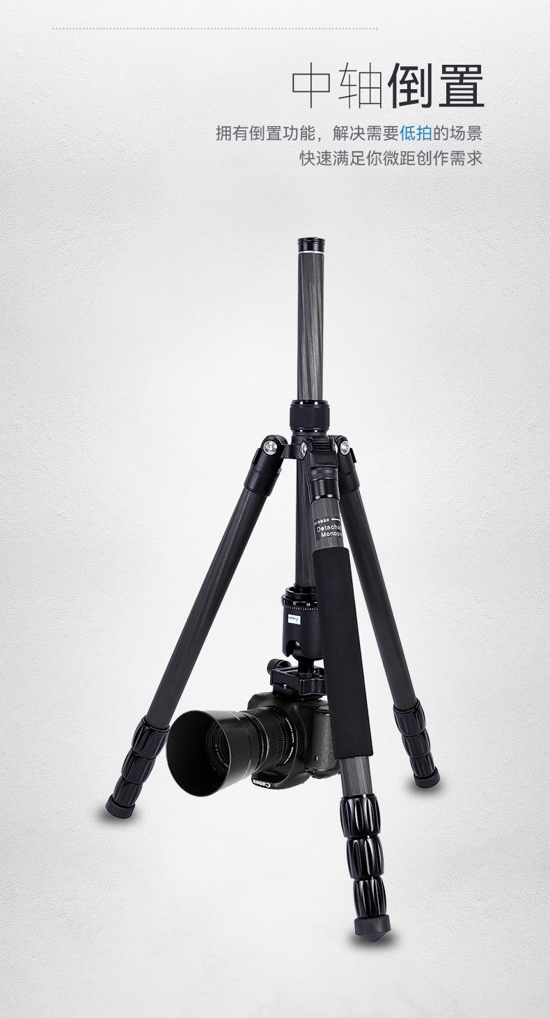 C258Q1中文详情_05