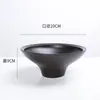 Recipiente Hidropónico No Poroso, Micro-Paisaje de Musgo Moneda de Cobre, Adorno Creativo de Cerámica, Maceta Negra para Helechos