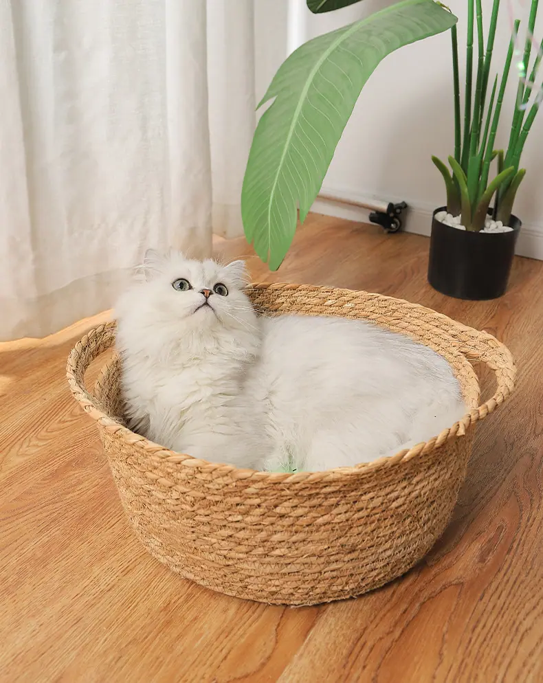 详情页_07.jpg