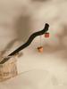 Vintage De Madeira Hairpin Estilo Antigo Simples Bola De Cabelo Headwear Sentido Fada Cabelo Disco Headwear Elegante Hanfu Grampo De Cabelo