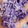 Varios Tipos de Flores Prensadas en Polvo de Concha de Agujero Recto (Flores de ciruelo, Flores de cerezo, Enredaderas de la mañana) Materiales y Accesorios para Accesorios de Cabello Hechos a Mano DIY