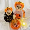 Sombreros de Calabaza Hechos a Medida de Fábrica para Gatos y Perros Suministros Decorativos para la Cabeza del Festival de Fantasmas de Halloween para Perros Pequeños, Medianos y Grandes