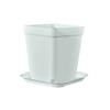 Vasos Quadrados Mini, Vasos Pequenos Coloridos Espessos para Flores, Vasos para Suculentas, Vasos Quadrados Pequenos de Plástico Preto, Vasos para Mudas, Atacado do Fabricante
