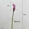 Lírio Calla Branco Simples de Alta Qualidade Alocum Flor Artificial Realista Modelo Sala Simulação Fotografia de Casamento Flor para Segurar