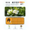 Pastilhas de Fragrância para Carro, Pastilhas de Purificador de Ar para Carro, Pingente de Celebridade da Internet R Star, Perfume para Carro com Fragrância Duradoura, Fragrância Leve para Interior de Carro, Remoção de Odores