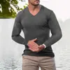 Camiseta Masculina de Exportação Transfronteiriça Europeia e Americana para Outono, Esportiva, Fitness, Casual, com Gola Alta, Elástica, Listras Verticais, Decote V, Manga Longa