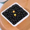 Frijoles Negros de Grano Redondo y Centro Amarillo, Frijoles Negros Crudos, Producidos en Granja, Suministro Abundante, Granos Enteros, Dropshipping de una Sola Pieza, Venta al por Mayor y al por Menor