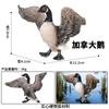 Simulação Cognitiva Infantil Modelo de Vida Selvagem Aves Frango Pato Ganso Ovo de Chocar Cisne Branco Asa Balançando Ganso Pato Amarelo Grande