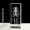 Artesanato de Cristal Pequenos Enfeites Modelo de Cérebro Esqueleto Esculpido Internamente 3D Presente para Médicos e Colegas Presentes Corporativos Cristal Branco Transparente