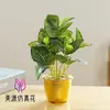 Planta de simulação pequeno bonsai flor de simulação de alta qualidade decoração de interiores criativa flor artificial planta verde planta em vaso de simulação Amazon