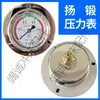 Manômetro Manômetro de Pressão de Gás Yangli Wode Yangdian Prensa de Forjamento Manômetro Resistente a Choques Y60-T0-1MPa Rosca M10*1