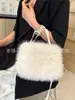 Bolso de Mano de Felpa Transfronterizo Imitación Piel de Zorro Bolso de Mano de Moda Bolso Pequeño Peludo de Gama Alta Fabricante Bolsas al Por Mayor