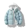 Ropa de Algodón Gruesa y Cálida para Hombre y Pareja, Nuevo Diseño con Sentido Académico Suelto, Dos Piezas Falsas para Primavera y Otoño, Productos de Fujian