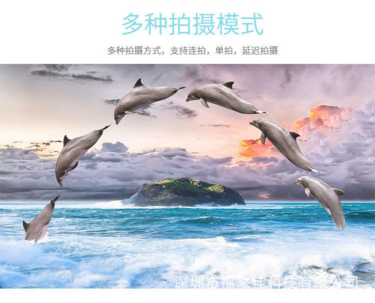 4k-中文详情页_06.jpg