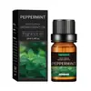 Aceites Esenciales Compuestos Solubles en Aceite para Aromaterapia de Coche y Dormitorio, Hidratante, Masaje, Cuidado de la Piel, Aceite Corporal Calmante, Aceites Esenciales Vegetales Compuestos