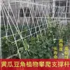 Novo tipo de estufa pequena suporte treliça de feijão estrutura arco haste de arco haste de fibra de vidro agrícola horta suporte de mudas atacado