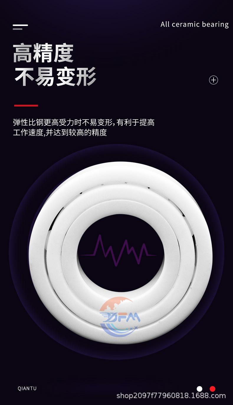 张东平丹洋轴承全陶瓷深沟球_03.jpg