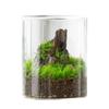 Botella Ecológica de Micro-Paisaje Florero de Vidrio de Alto Borosilicato Tanque Decorativo de Vidrio para Sala de Estar Florero Grande Hidropónico de Escritorio