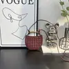 Bolso de Sardina de Diseño de Nicho 2025 Nuevo Bolso de Mano Tejido de Moda Casual Mini Bolso Cruzado de Hombro W
