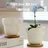 Macetas de Cerámica con Platos para Uso Doméstico al por Mayor, Macetas para Suculentas de Estilo Ins Simple Lujo Ligero Estilo Crema, Disponible para Dropshipping